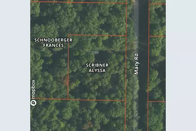 Mary Street, Wellston, MI 49689 - Photo 3