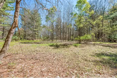 8.5 Acre V/L Three Mile Road #Parcels A-L, Hersey, MI 49639 - Photo 9