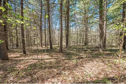 8.5 Acre V/L Three Mile Road #Parcels A-L, Hersey, MI 49639 - Photo 5