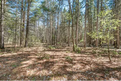 8.5 Acre V/L Three Mile Road #Parcels A-L, Hersey, MI 49639 - Photo 13