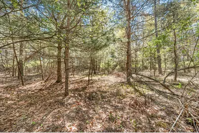 8.5 Acre V/L Three Mile Road #Parcels A-L, Hersey, MI 49639 - Photo 17