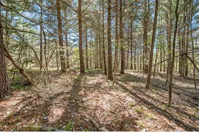 8.5 Acre V/L Three Mile Road #Parcels A-L, Hersey, MI 49639 - Photo 7