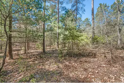 8.5 Acre V/L Three Mile Road #Parcels A-L, Hersey, MI 49639 - Photo 1