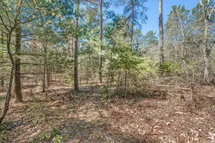 8 5 Acre V/L Three Mile Rd, Hersey, MI 49639 - Photo 1