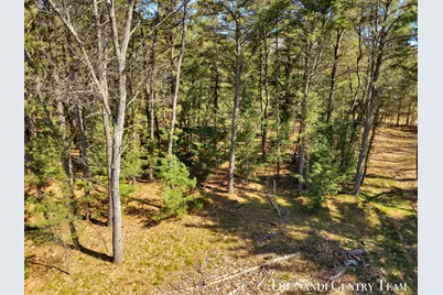 Whitehall Road, Whitehall, MI 49461 - Photo 5