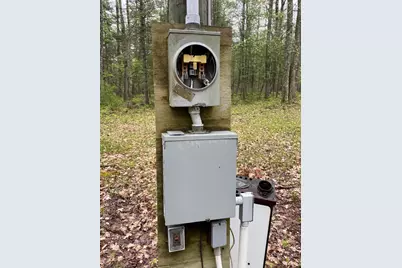 V/L E Pomeroy Springs Road, Irons, MI 49644 - Photo 5