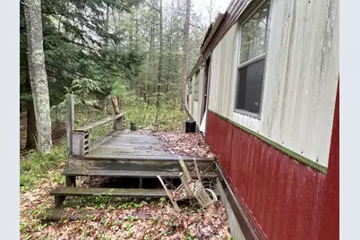 V/L E Pomeroy Springs Road, Irons, MI 49644 - Photo 7