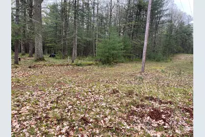 V/L E Pomeroy Springs Road, Irons, MI 49644 - Photo 3