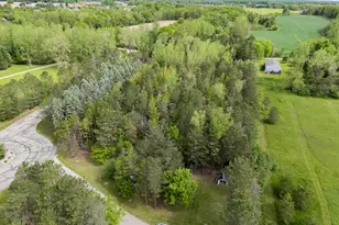 15105 Eagle Ridge Rd, Eagle, MI 48822 - Photo 49
