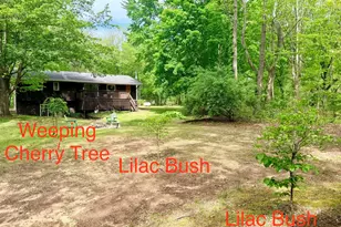 13953 Minnich Rd, Sawyer, MI 49125 - Photo 51