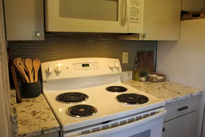 22555 Diamond Cove Street, Cassopolis, MI 49031 - Photo 13