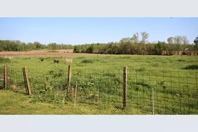 15168 S 37th Street, Vicksburg, MI 49097 - Photo 13
