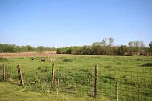 15168 S 37th St, Vicksburg, MI 49097 - Photo 13