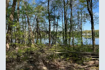 Lot 6 Fogeson Drive, Coral, MI 49322 - Photo 9