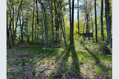 Lot 6 Fogeson Drive, Coral, MI 49322 - Photo 5