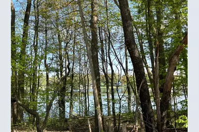 Lot 8 Fogeson Drive, Coral, MI 49322 - Photo 9