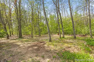17225 Apache Trail, Howard City, MI 49329 - Photo 17