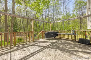 17225 Apache Trail, Howard City, MI 49329 - Photo 19