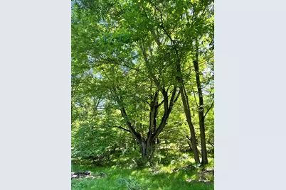 3685 Cypress Road, Blanchard, MI 49310 - Photo 17