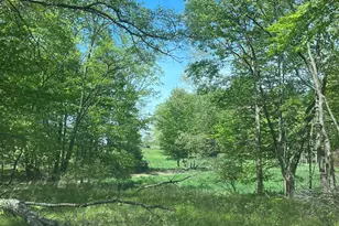 3685 Cypress Rd, Blanchard, MI 49310 - Photo 1
