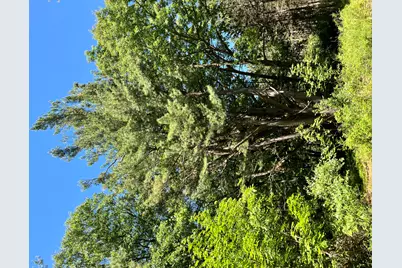 3685 Cypress Road, Blanchard, MI 49310 - Photo 23