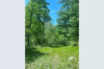 3685 Cypress Road, Blanchard, MI 49310 - Photo 3