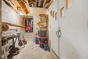 213 Palmer St, Rives Junction, MI 49277 - Photo 49