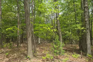 Vl N Ridge Rd, Mears, MI 49436 - Photo 1