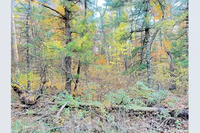 7.32Ac E 58th Street, Newaygo, MI 49337 - Photo 3