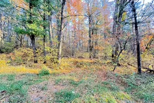7 32Ac E 58th St, Newaygo, MI 49337 - Photo 1