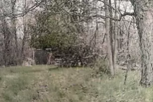 59790 Co Rd 380, Bangor, MI 49013 - Photo 1