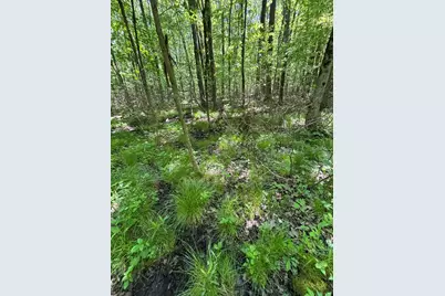 Wildwood Road, Shelbyville, MI 49344 - Photo 19