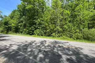 Wildwood Rd, Shelbyville, MI 49344 - Photo 1