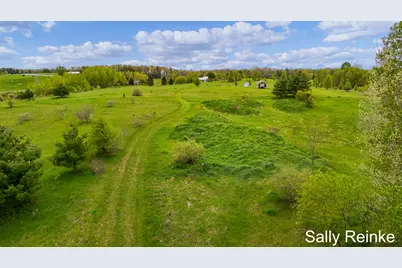 30 Acres 9 Mile Road, Reed City, MI 49677 - Photo 3