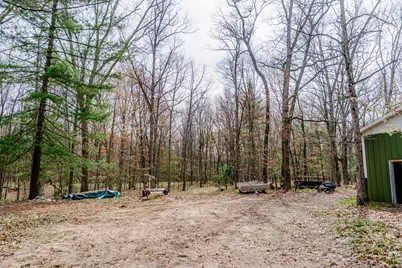 3878 W Wildwood Avenue, Bitely, MI 49309 - Photo 33