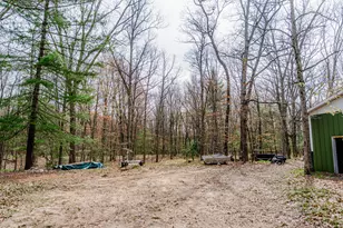 3878 W Wildwood Ave, Bitely, MI 49309 - Photo 33