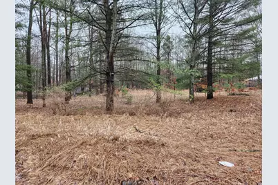 8033 Rolling Drive, Lake, MI 48632 - Photo 19