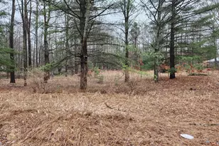 8033 Rolling Dr, Lake, MI 48632 - Photo 23
