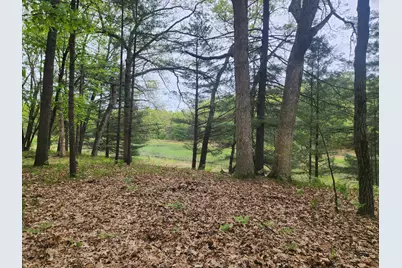 9736 S Trillium Trail, Baldwin, MI 49304 - Photo 15