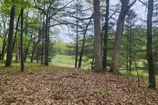 9736 S Trillium Trail, Baldwin, MI 49304 - Photo 15