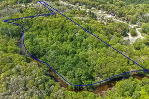 W County Line Rd, Gowen, MI 49326 - Photo 1