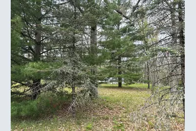 3217 W Maringo Pass, Baldwin, MI 49304 - Photo 21