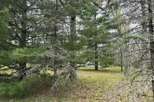 3217 W Maringo Pass, Baldwin, MI 49304 - Photo 21