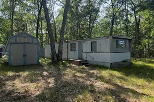 3217 W Maringo Pass, Baldwin, MI 49304 - Photo 1