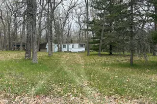 3217 W Maringo Pass, Baldwin, MI 49304 - Photo 1