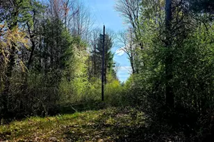 2787 E Baseline Rd, White Cloud, MI 49349 - Photo 17