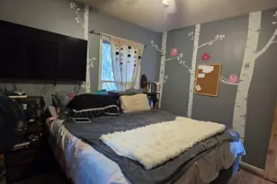 4201 Secor Rd, Ida, MI 48140 - Photo 21