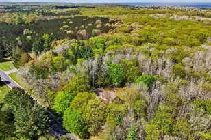 4370 Red Apple Rd, Manistee, MI 49660 - Photo 47