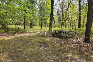 7296 E 40th St, Chase, MI 49623 - Photo 17