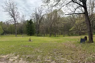 8774 S Star Lake Dr, Baldwin, MI 49304 - Photo 41